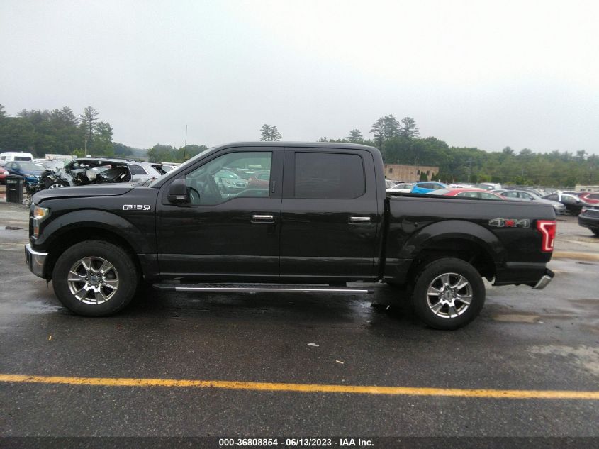 2015 FORD F-150 XLT - 1FTEW1EF6FFB11035