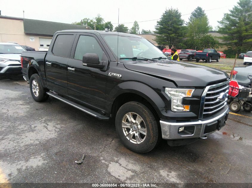 2015 FORD F-150 XLT - 1FTEW1EF6FFB11035