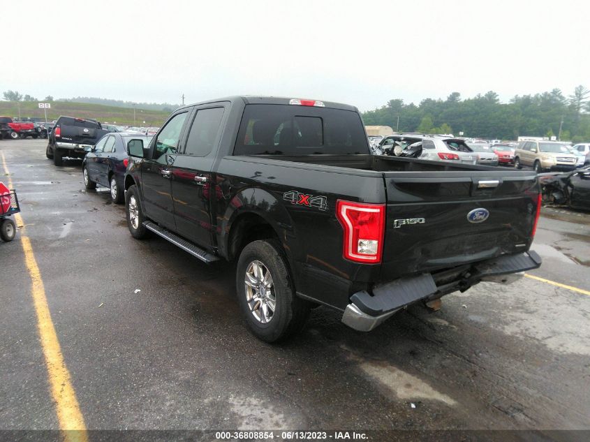 2015 FORD F-150 XLT - 1FTEW1EF6FFB11035