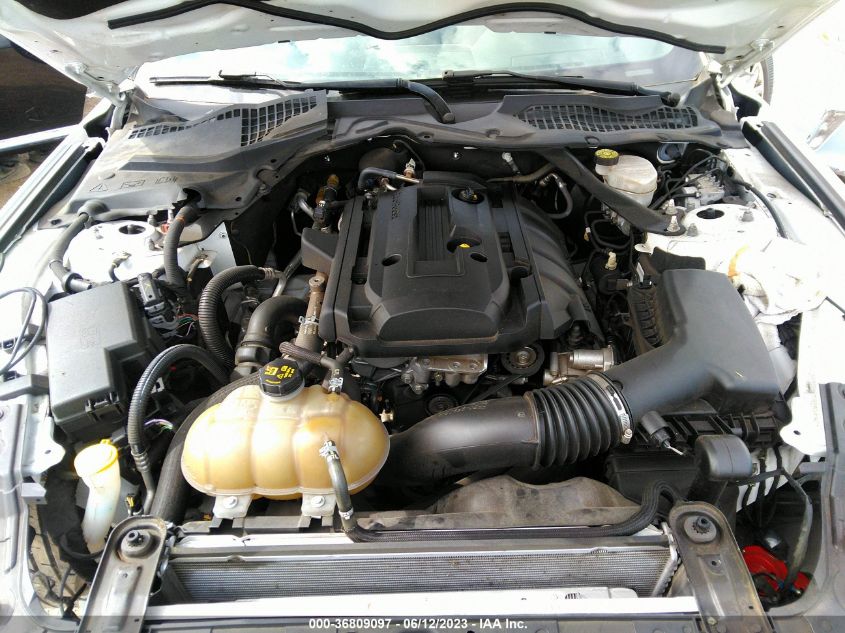 2019 FORD MUSTANG ECOBOOST - 1FATP8UH9K5181683