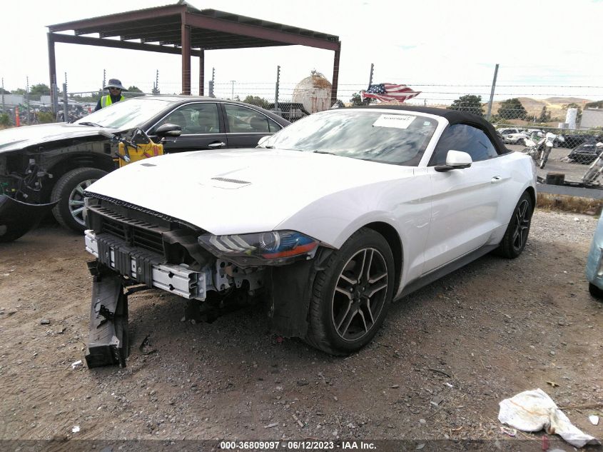 2019 FORD MUSTANG ECOBOOST - 1FATP8UH9K5181683
