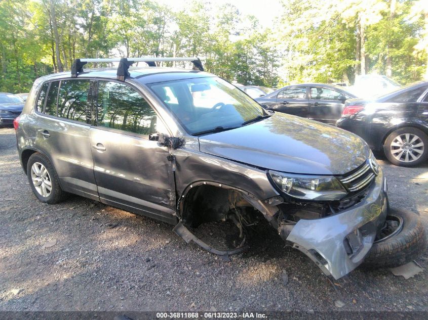 2013 VOLKSWAGEN TIGUAN S W/SUNROOF - WVGBV3AX2DW583175