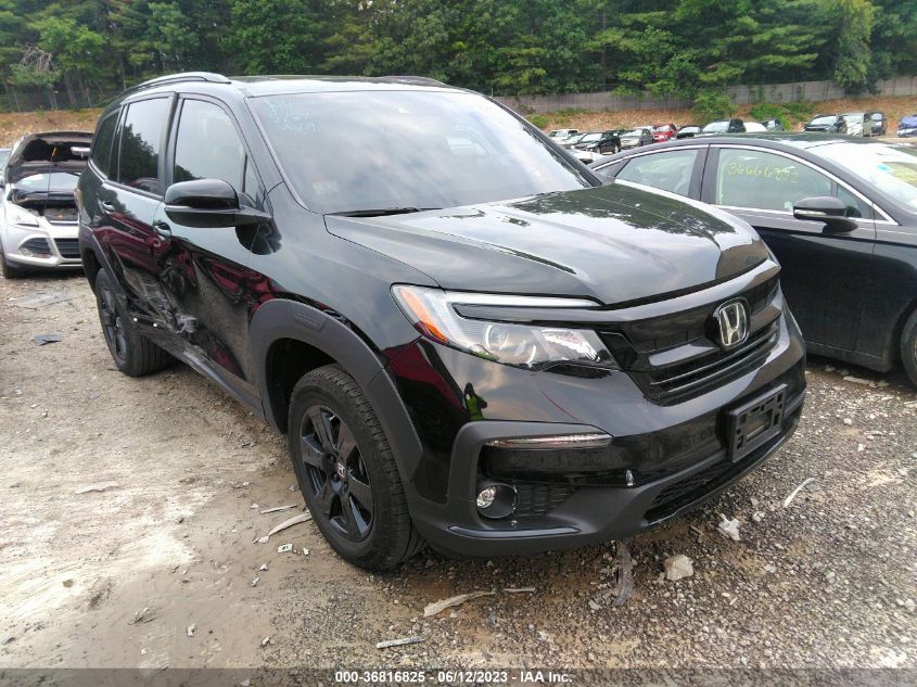 2022 HONDA PILOT TRAILSPORT - 5FNYF6H86NB039554