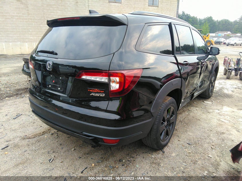 VIN 5FNYF6H86NB039554 2022 HONDA PILOT TRAILSPORT