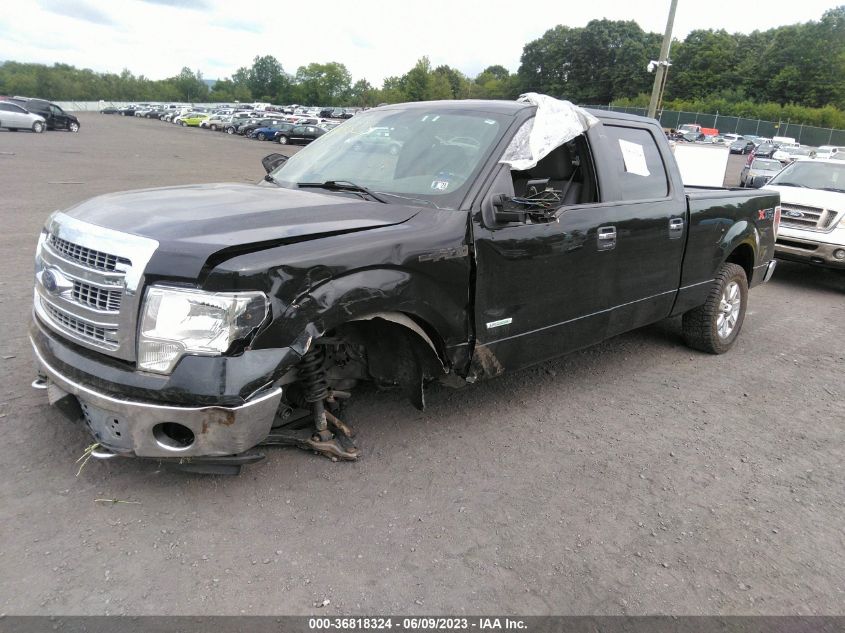 2014 FORD F-150 XL/XLT/FX4/LARIAT - 1FTFW1ET1EFB20752