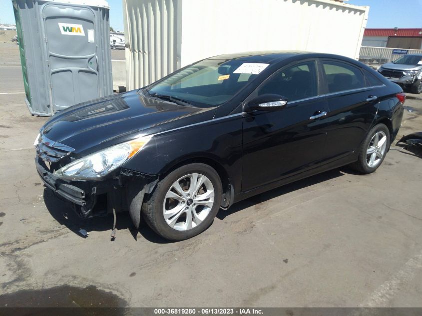 2013 HYUNDAI SONATA LIMITED W/WINE INT - 5NPEC4AC1DH519967