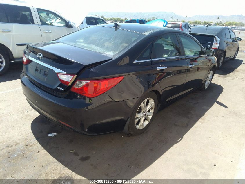 2013 HYUNDAI SONATA LIMITED W/WINE INT - 5NPEC4AC1DH519967