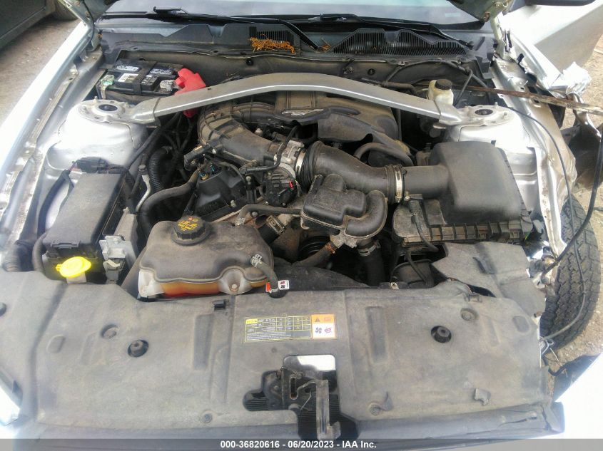 2013 FORD MUSTANG - 1ZVBP8EM6D5221879