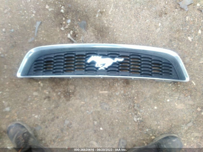 2013 FORD MUSTANG - 1ZVBP8EM6D5221879