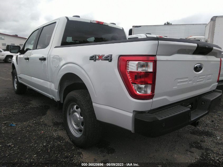 2023 FORD F-150 XL/XLT/LARIAT - 1FTFW1ED4PFB45754