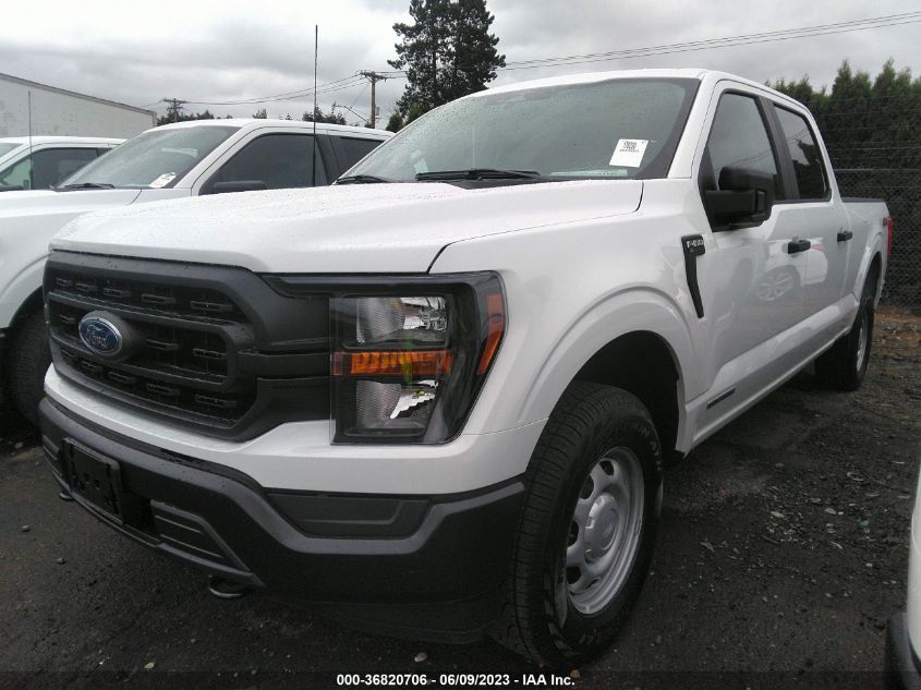 2023 FORD F-150 XL/XLT/LARIAT - 1FTFW1ED3PFB45650