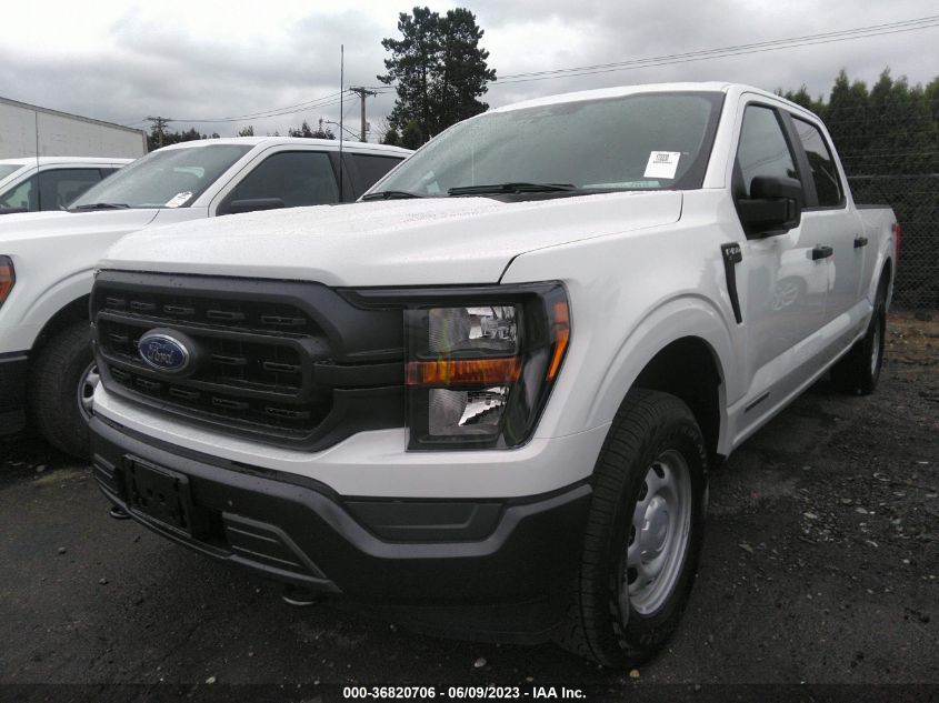 2023 FORD F-150 XL/XLT/LARIAT - 1FTFW1ED3PFB45650