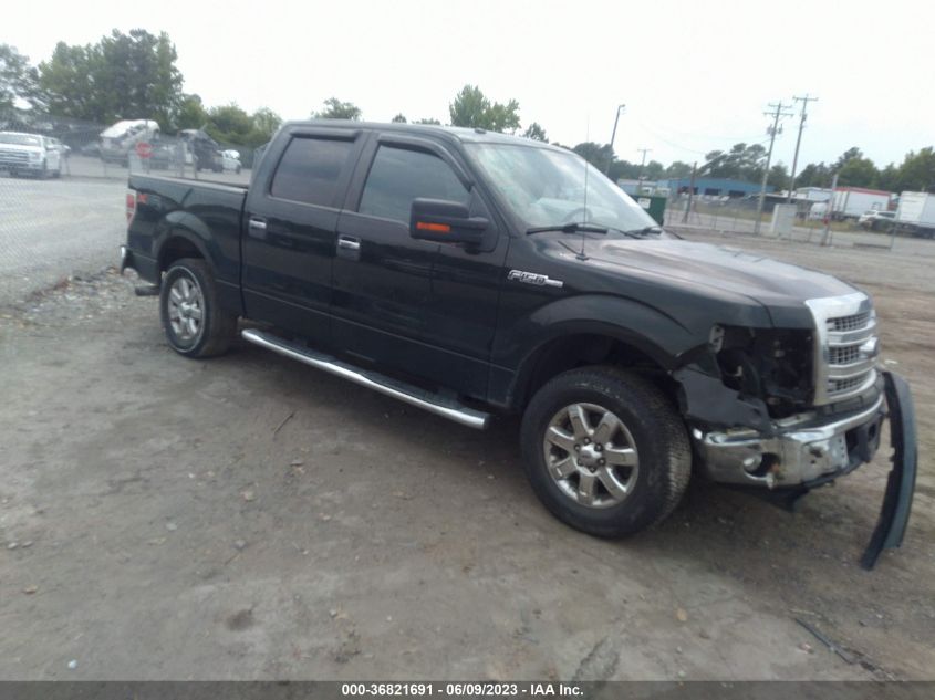 2014 FORD F-150 XL/XLT/STX/FX4/LARIAT - 1FTFW1EFXEFA52915