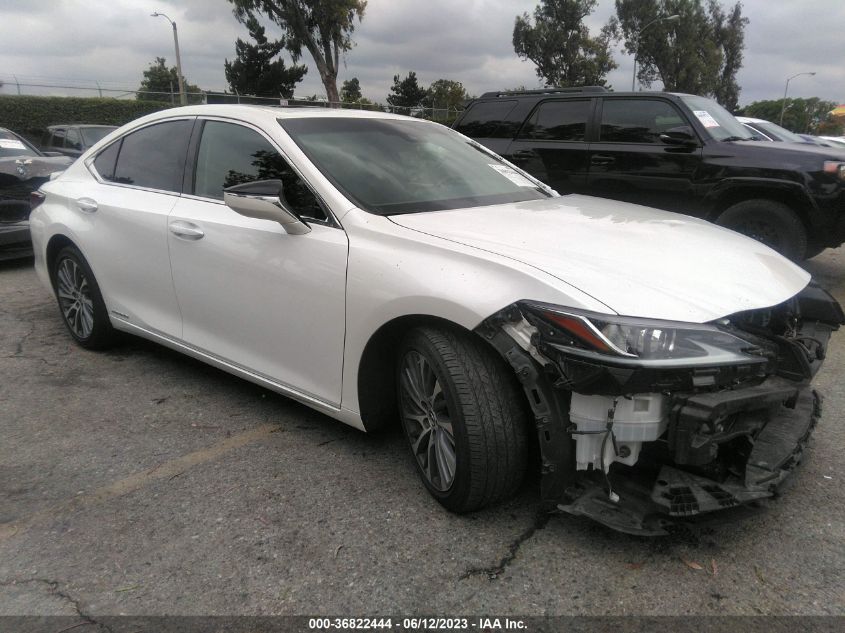 2021 LEXUS ES ES 300H 58ADA1C19MU003314