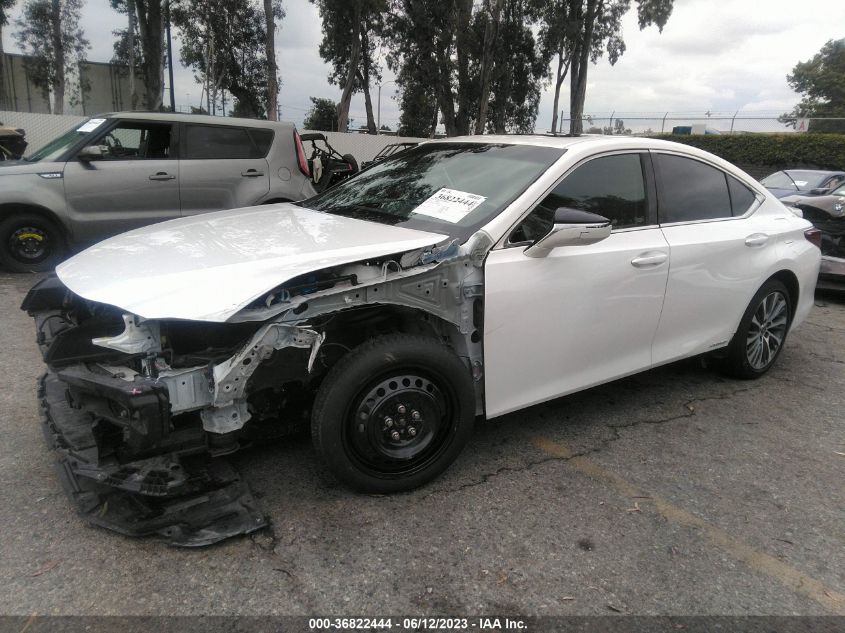 2021 LEXUS ES ES 300H 58ADA1C19MU003314