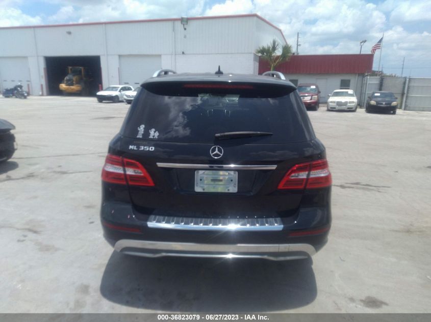 2013 MERCEDES-BENZ M-CLASS ML 350 - 4JGDA5JB2DA167466