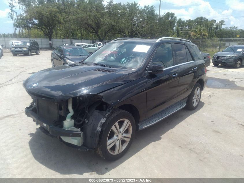 2013 MERCEDES-BENZ M-CLASS ML 350 - 4JGDA5JB2DA167466