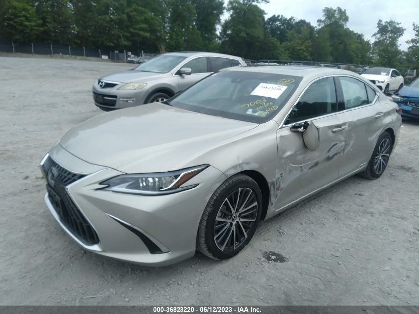 2022 LEXUS ES ES 300H - 58ADA1C11NU022392