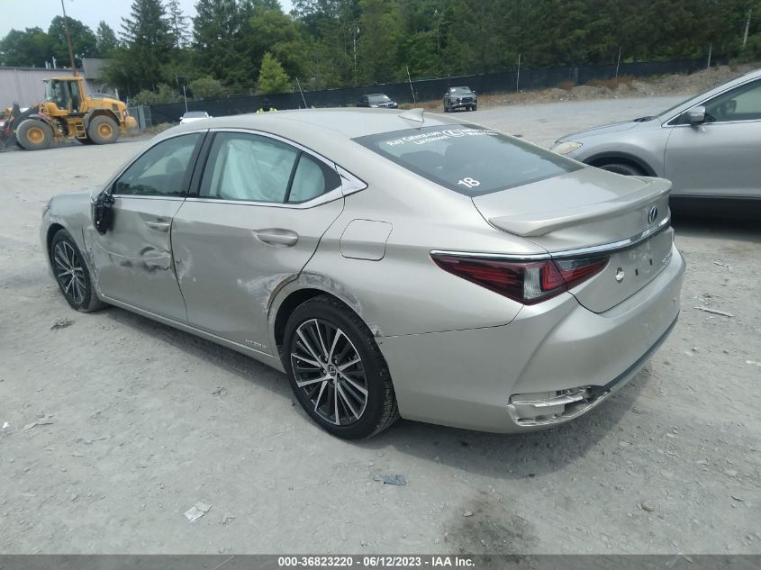 2022 LEXUS ES ES 300H - 58ADA1C11NU022392