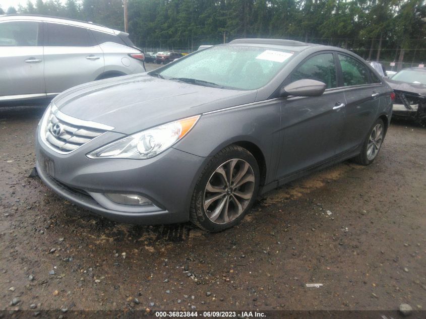 2013 HYUNDAI SONATA SE - 5NPEC4AB8DH753918