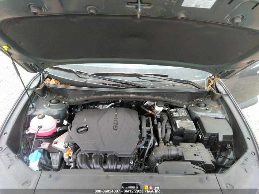 2023 HYUNDAI TUCSON LIMITED - 5NMJECAEXPH172225
