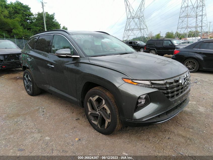 2023 HYUNDAI TUCSON LIMITED - 5NMJECAEXPH172225