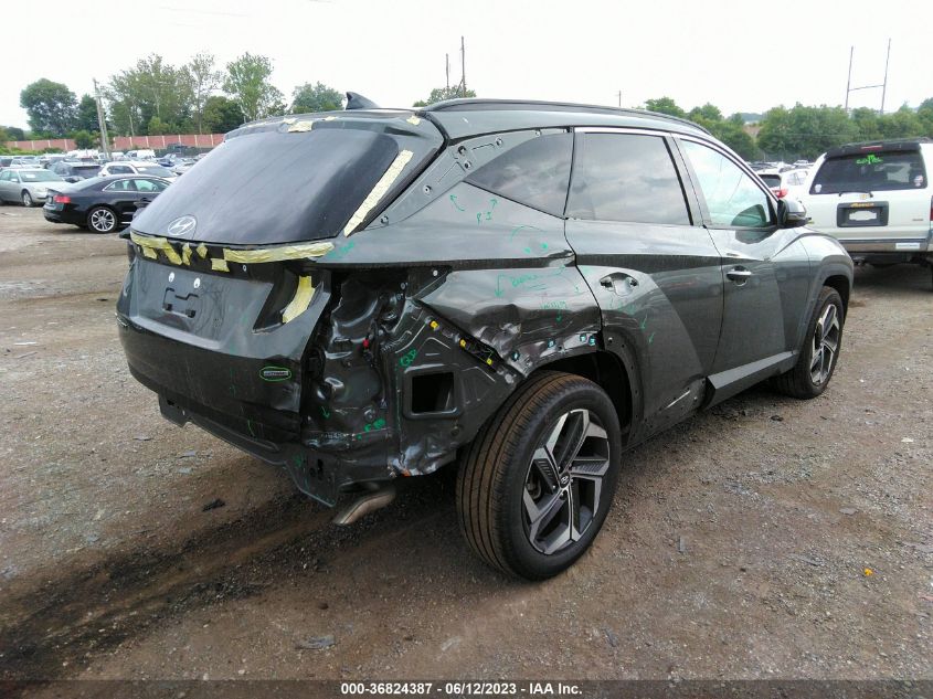 2023 HYUNDAI TUCSON LIMITED - 5NMJECAEXPH172225
