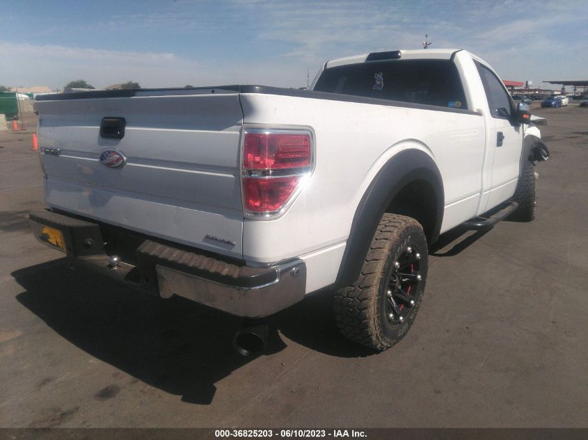 2013 FORD F-150 XL/XLT - 1FTNF1CFXDKE25164