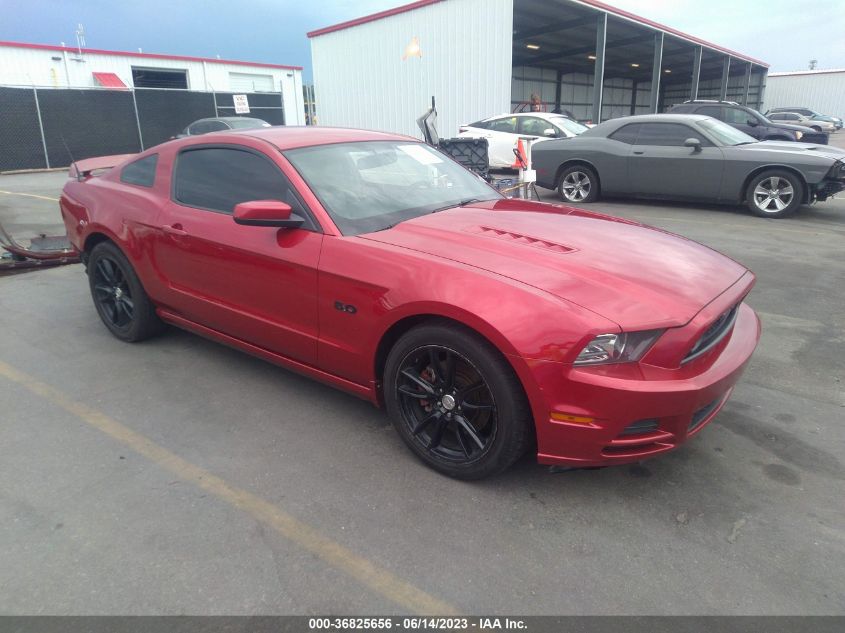 2013 FORD MUSTANG GT - 1ZVBP8CF1D5265549