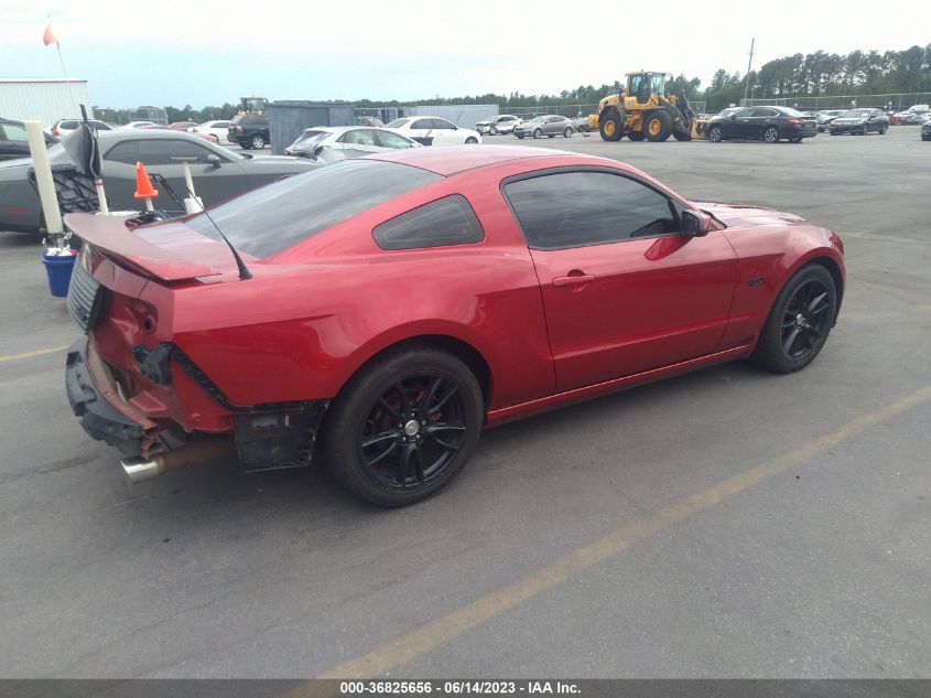 2013 FORD MUSTANG GT - 1ZVBP8CF1D5265549