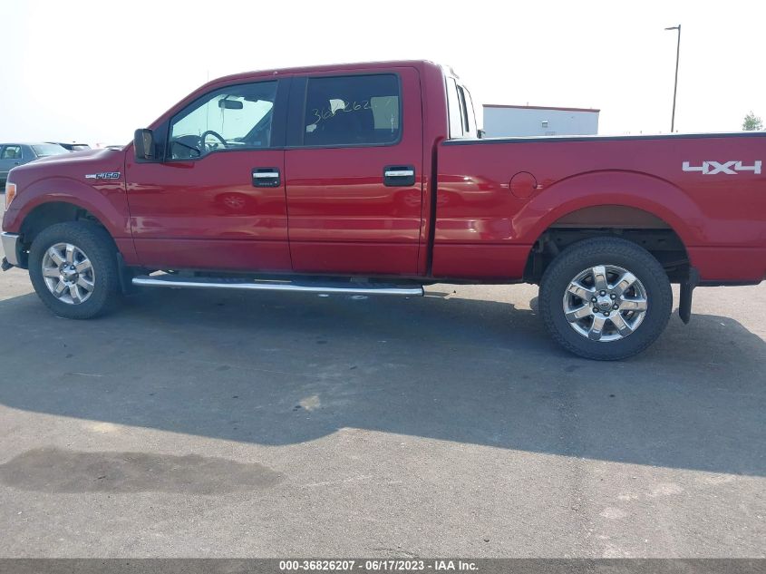 2014 FORD F-150 XL/XLT/STX/FX4/LARIAT - 1FTFW1EF9EKE08116