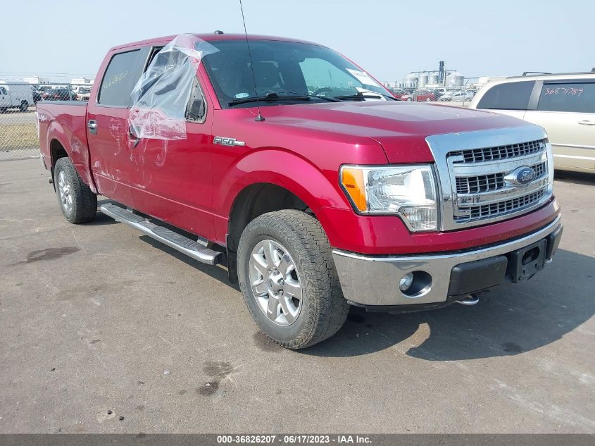 2014 FORD F-150 XL/XLT/STX/FX4/LARIAT - 1FTFW1EF9EKE08116