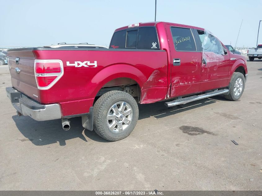 2014 FORD F-150 XL/XLT/STX/FX4/LARIAT - 1FTFW1EF9EKE08116