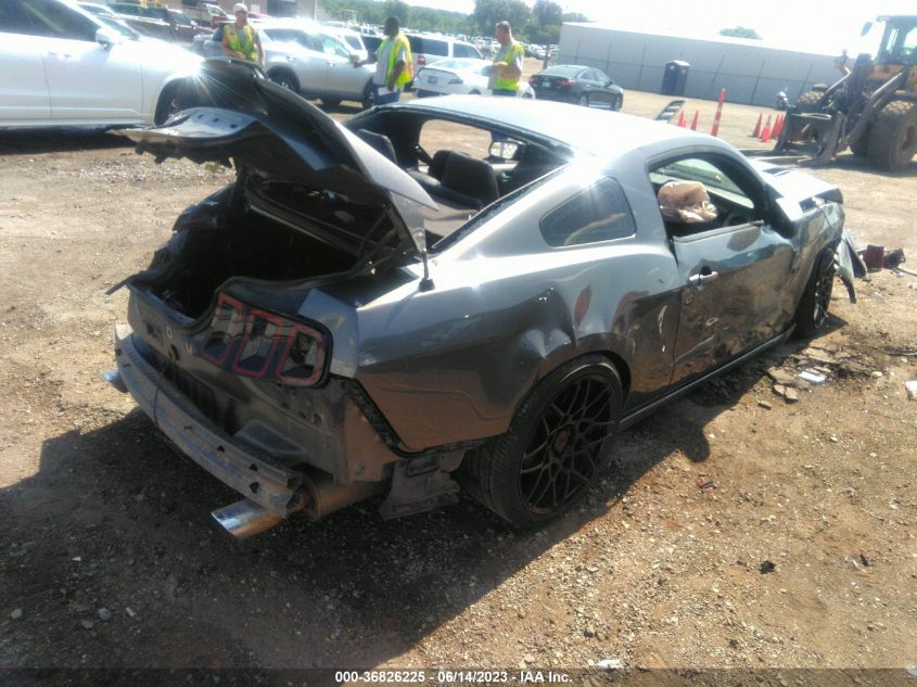 2013 FORD MUSTANG GT - 1ZVBP8CF8D5284180