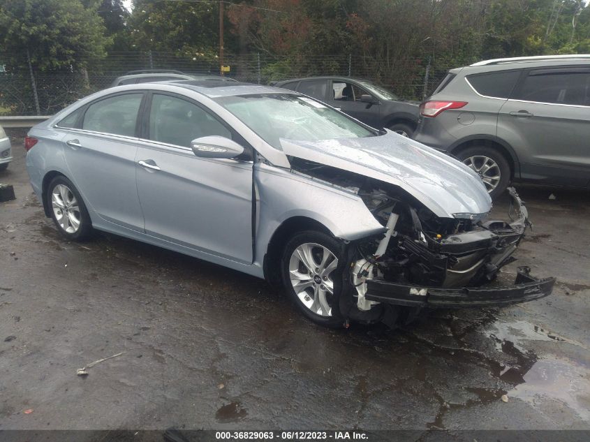 2013 HYUNDAI SONATA LIMITED - 5NPEC4AC8DH575971