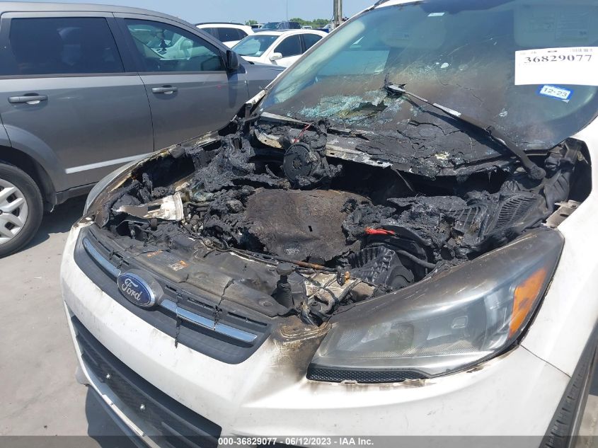 2014 FORD ESCAPE SE - 1FMCU0GX4EUB84729