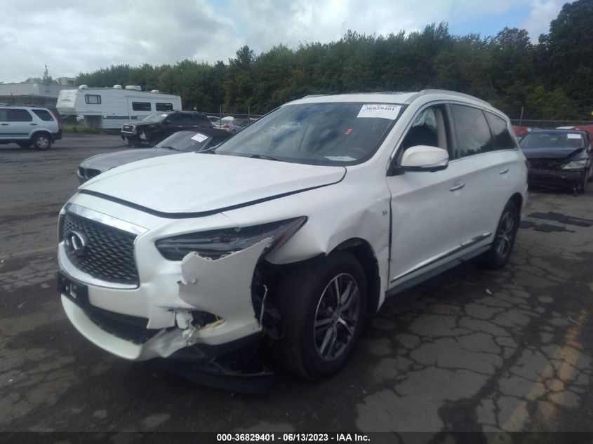 5N1DL0MM0KC558661 Infiniti QX60 LUXE 2