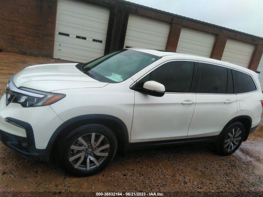 2019 HONDA PILOT EX-L W/NAVI & RES - 5FNYF5H41KB017240