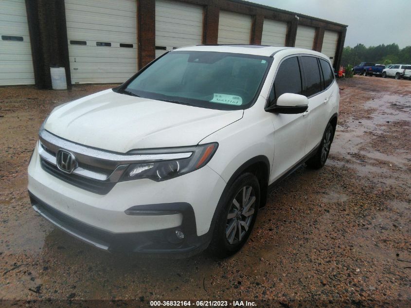 2019 HONDA PILOT EX-L W/NAVI & RES - 5FNYF5H41KB017240