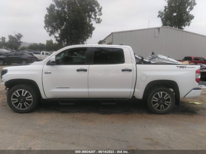 2021 TOYOTA TUNDRA 2WD SR5 5TFEY5F18MX293848