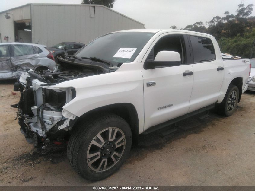 2021 TOYOTA TUNDRA 2WD SR5 5TFEY5F18MX293848