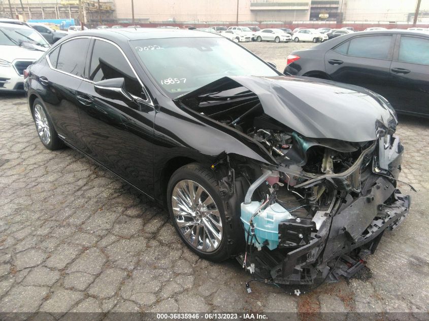 2022 LEXUS ES ES 300H LUXURY - 58AEA1C14NU018857