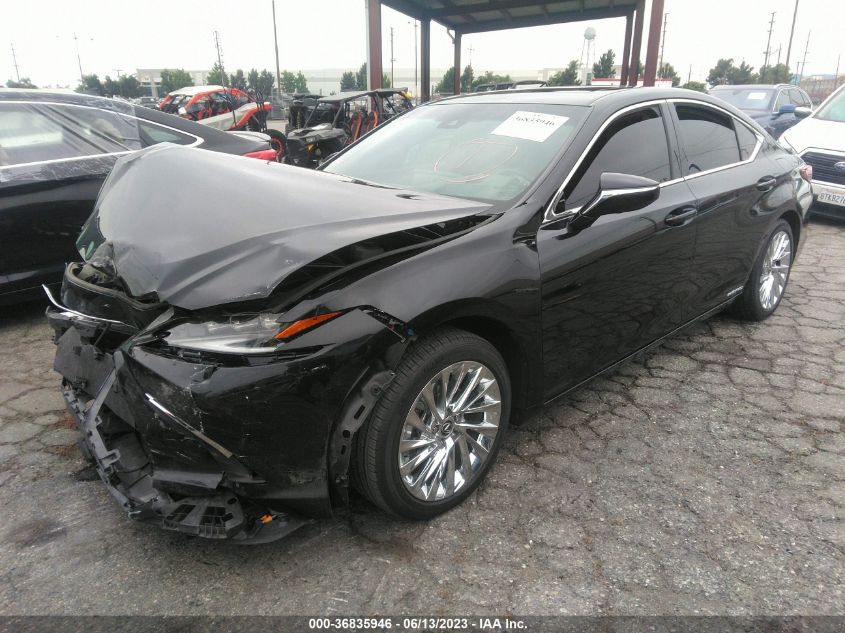 2022 LEXUS ES ES 300H LUXURY - 58AEA1C14NU018857