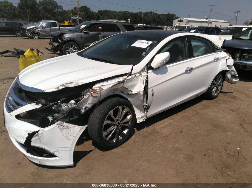 2014 HYUNDAI SONATA LIMITED - 5NPEC4ABXEH813862