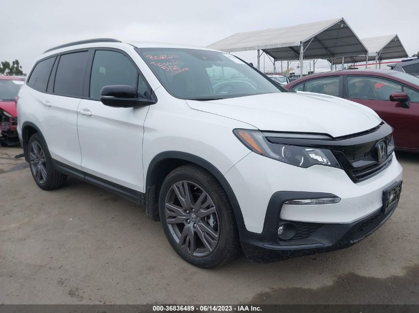 2022 HONDA PILOT SPORT - 5FNYF5H31NB012177