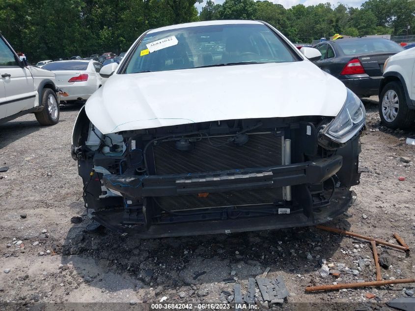 2019 HYUNDAI SONATA SE - 5NPE24AF7KH739348