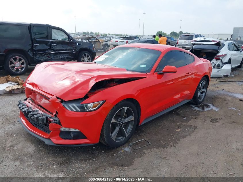 1FA6P8AM1F5388556 2015 FORD MUSTANG - Image 2