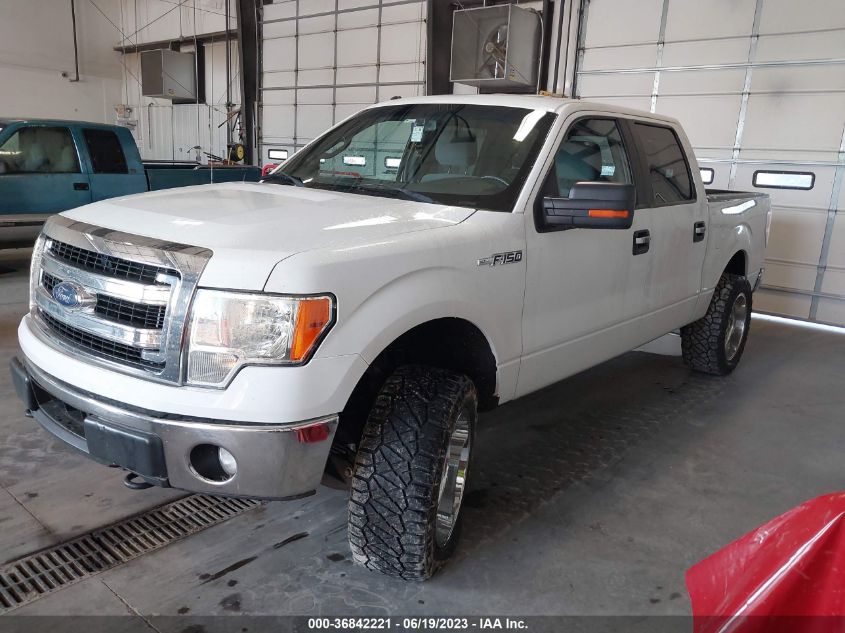 2013 FORD F-150 XL/XLT/FX4/LARIAT - 1FTFW1EF8DFC42243