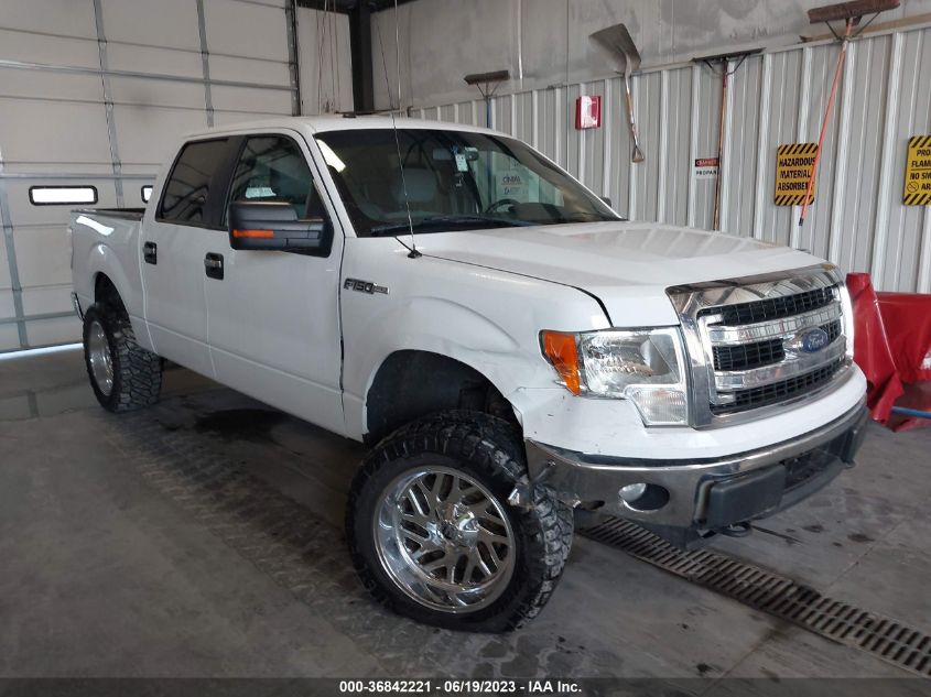 2013 FORD F-150 XL/XLT/FX4/LARIAT - 1FTFW1EF8DFC42243