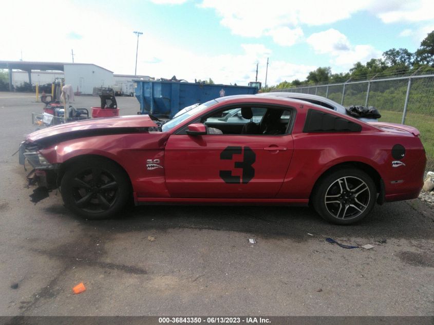 2013 FORD MUSTANG GT - 1ZVBP8CF0D5208033